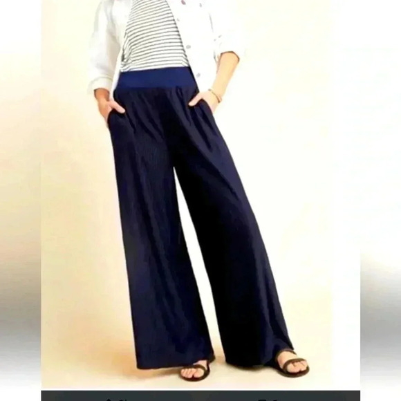 Anthropologie Pleated Wide Leg Pants Palazzo Pant Navy Size Medium NWT - Picture 1 of 7
